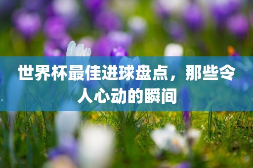 世界杯最佳进球盘点，那些令人心动的瞬间