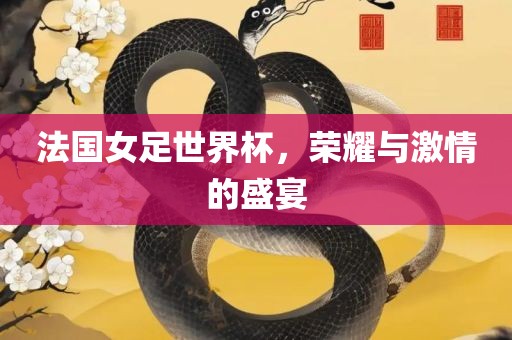 法国女足世界杯，荣耀与激情的盛宴