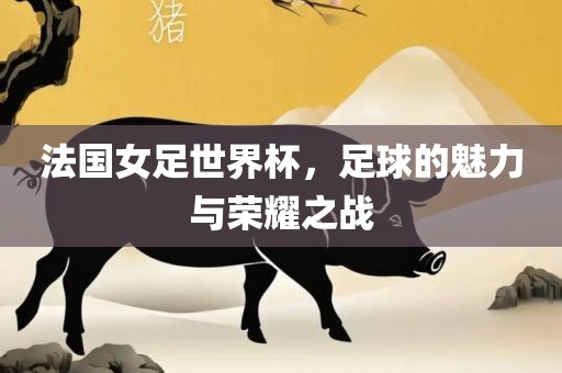 法国女足世界杯，足球的魅力与荣耀之战