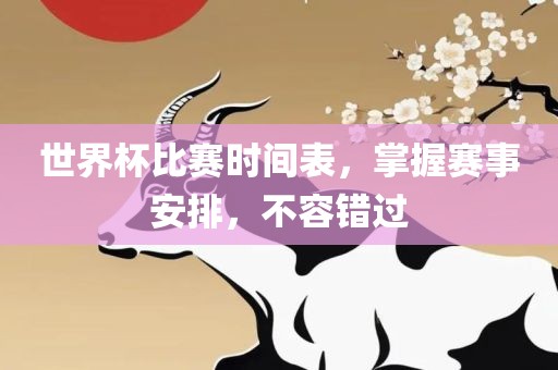 世界杯比赛时间表，掌握赛事安排，不容错过