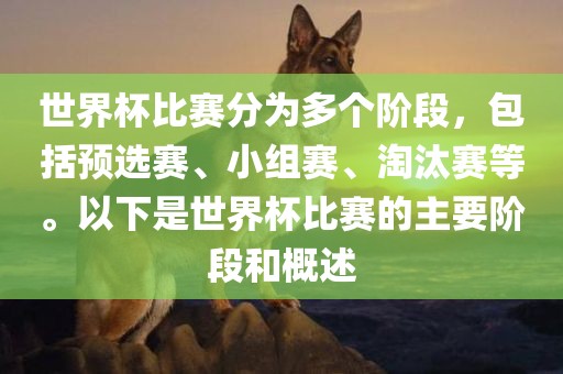 比赛阶段（预选赛