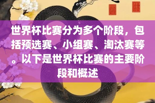 世界杯比赛分为多个阶段，包括预选赛、小组赛、淘汰赛等。以下是世界杯比赛的主要阶段和概述漯河市盈旭机械设备有限公司