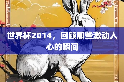 世界杯2014，回顾那些激漯河市盈旭机械设备有限公司动人心的瞬间