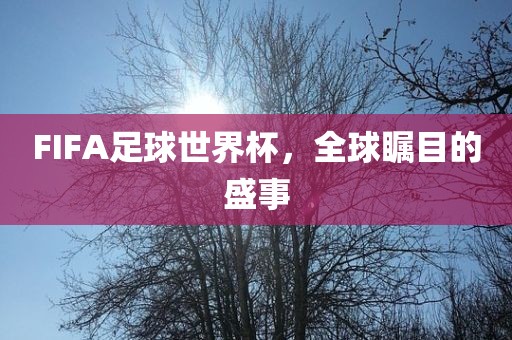 FIFA足球世界杯，全球瞩目的盛事
