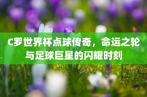 C罗世界杯点球传奇
