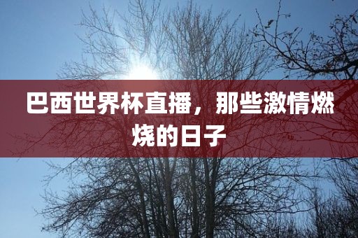 巴西世界杯直播，那些激情燃烧的日子