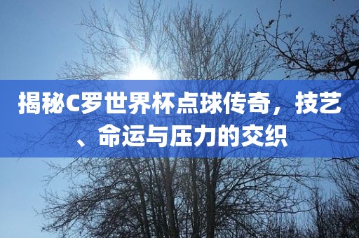 揭秘C罗世界杯点球传奇，技艺、命运与压力的交织漯河市盈旭机械设备有限公司
