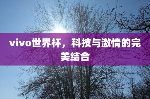 vivo世界杯，科技与激情的完美结合