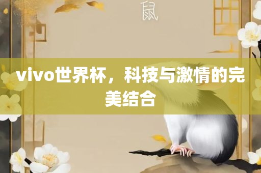 vivo世界杯，科技与激情的完美结合