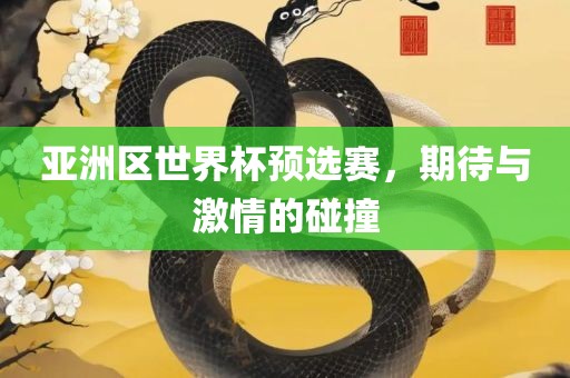 亚洲区世界杯预选赛，期待与激情的碰撞
