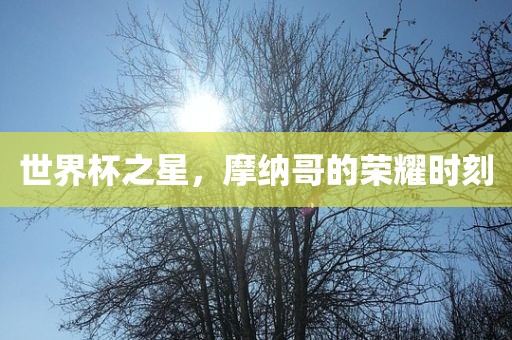 摩纳哥荣耀时刻
