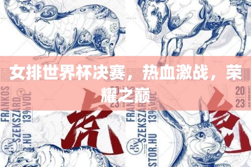 女排世界杯决赛，热血激战，荣耀之巅