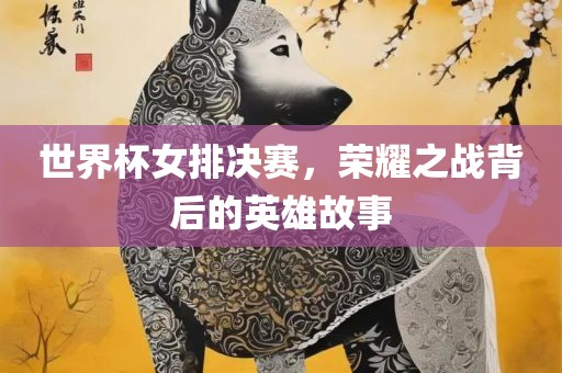 世界杯女排决赛，荣耀之战背后的英雄故事漯河市盈旭机械设备有限公司