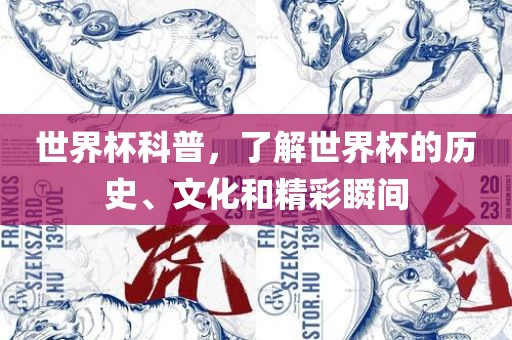 世界杯科普，了解世界杯的历史、文化和精彩瞬间漯河市盈旭机械设备有限公司