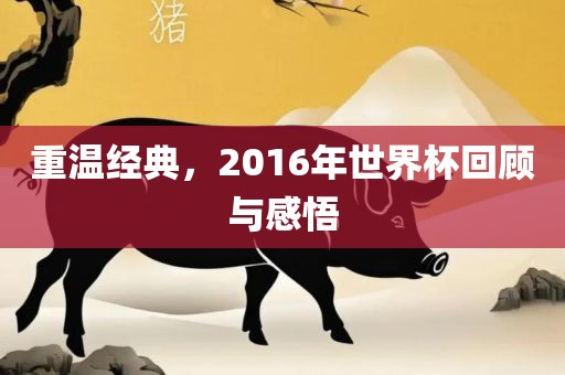 重温经典，2016年世界杯回顾与感悟