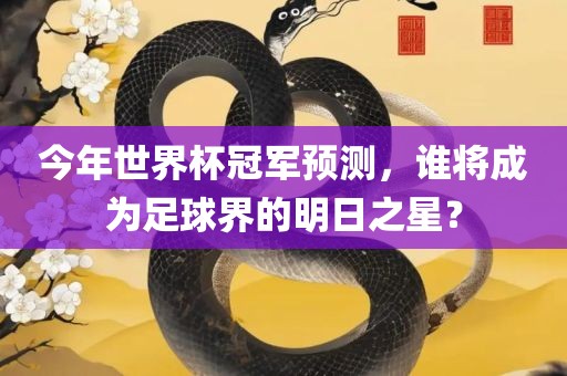 今年世界杯冠军预测，谁将成为足球界的明日之星？