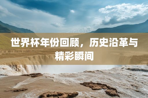 世界杯年份回顾，历史沿革与精彩瞬间漯河市盈旭机械设备有限公司