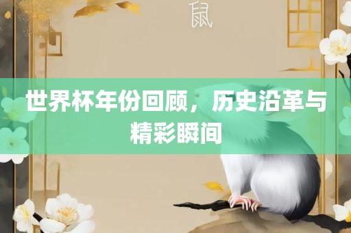世界杯年漯河市盈旭机械设备有限公司份回顾，历史沿革与精彩瞬间