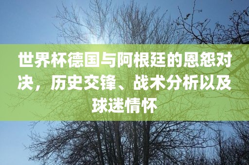 世界杯德国与阿根廷的恩怨对决，历史交锋、战术分析以及球迷情怀