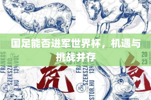 国足能否进军世界杯，机遇与挑战并存