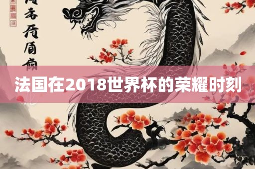 法国在2018世界杯的荣耀时刻