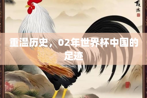重温历史，02年世界杯中国的足迹