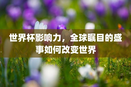 世界杯影响力，全球瞩目的盛事如何改变世界