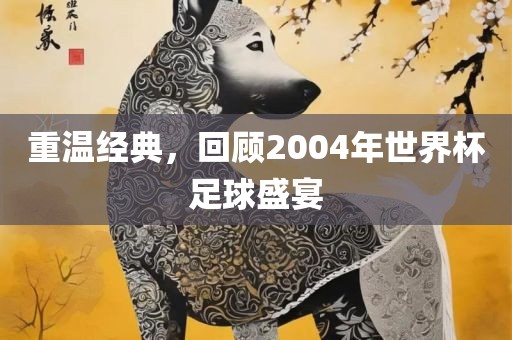 重温经典，回顾2004年世界杯足球盛宴