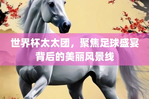 世界杯太太团，聚焦足球盛宴背后的美丽风景线