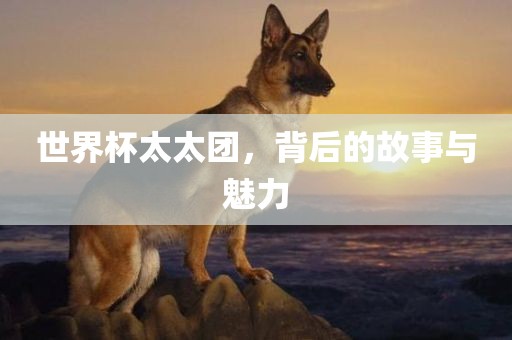 世界杯太太团，背后的故事与魅力