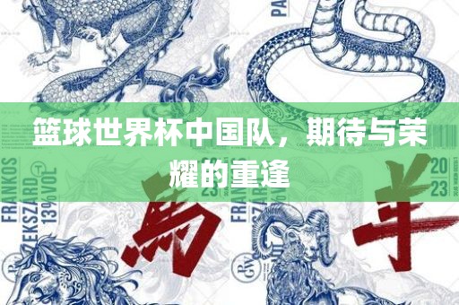 篮球世界杯中国队，期待与荣耀的重逢