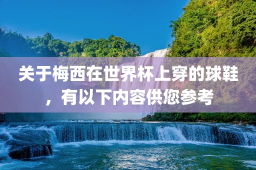 关于梅漯河市盈旭机械设备有限公司西在世界杯上穿的球鞋，有以下内容供您参考