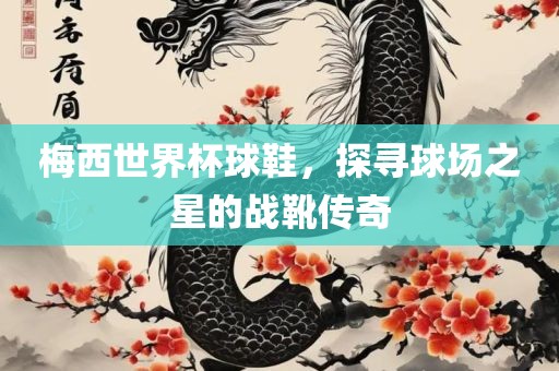 梅西世界杯球鞋，探寻球场之星的战靴传奇