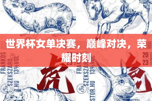 世界杯女单决赛，巅漯河市盈旭机械设备有限公司峰对决，荣耀时刻