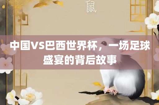 中国VS巴西世界杯，一场足球盛宴的背后故事漯河市盈旭机械设备有限公司