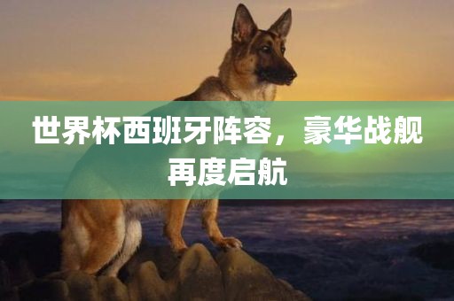 世界杯西班牙阵容，豪华战舰再度启航