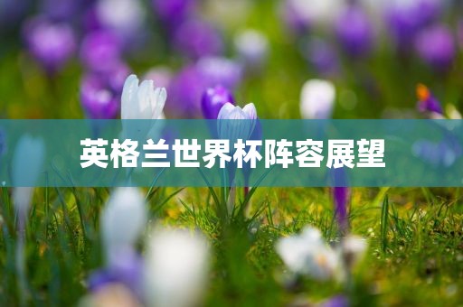 英格兰世界杯阵容展望