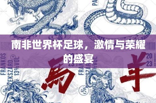 南非世界杯足球，激情与荣耀的盛宴