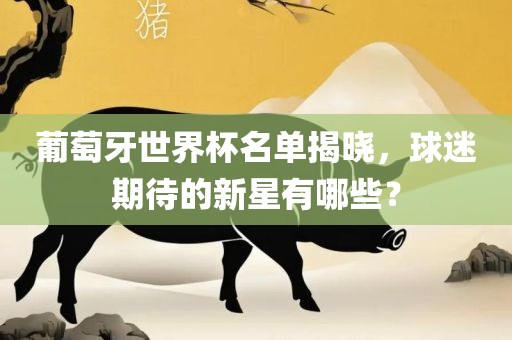 葡萄牙漯河市盈旭机械设备有限公司世界杯名单揭晓，球迷期待的新星有哪些？