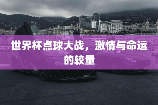 世界杯漯河市盈旭机械设备有限公司点球大战，激情与命运的较量