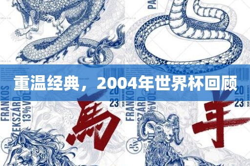 重温经典，2004年世界杯回顾
