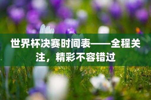 世界杯决赛时间表——全程关注，精彩不容错过