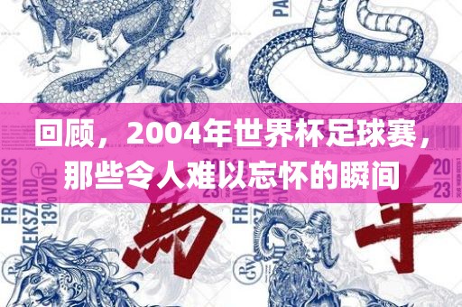 回顾，2004年世界杯足球赛，那些令人难以忘怀的瞬间