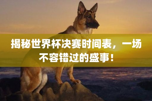 揭秘世界杯决赛时间表，一场不容错过的盛事！
