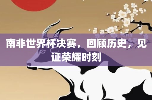 南非世界杯决赛，回顾历史，见证荣耀时刻