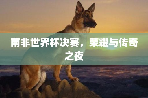 南非世界杯决赛，荣耀与传奇之夜