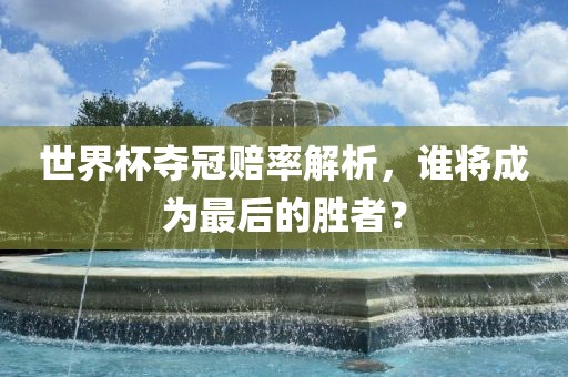 世界杯夺冠赔率解析，谁将成为最后的胜者？