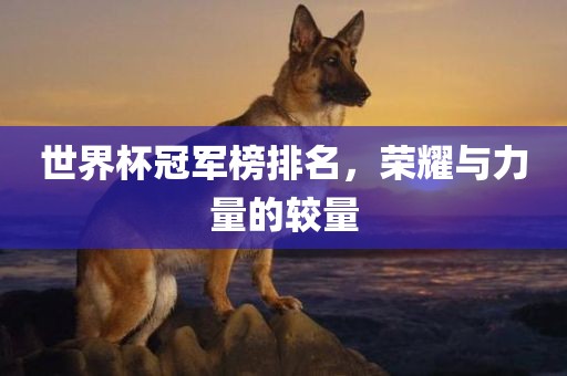 世界杯冠军榜排名，荣耀与力量的较量