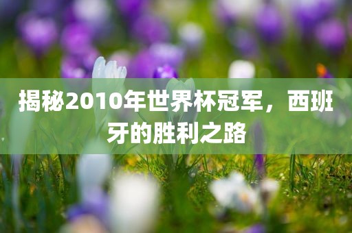 揭秘2010年世界杯冠军，西班牙的胜利之路