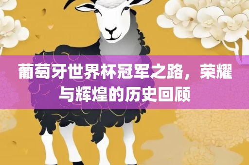 葡萄牙世界杯冠军之路，荣耀与辉煌的历史回顾